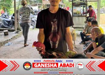 Kapolrestabes Perintahkan ‘Gas’, Judi Gang Sejati Malah ‘Rem Blong’: Diduga Dikelola Oknum Aparat berambut Cepak
