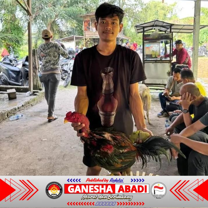 Kapolrestabes Perintahkan ‘Gas’, Judi Gang Sejati Malah ‘Rem Blong’: Diduga Dikelola Oknum Aparat berambut Cepak