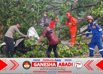 Polsek Banyuwangi Bersama Instansi Terkait Gerak Cepat Evakuasi Pohon Tumbang Pasca Hujan Lebat di Jl. Kepiting