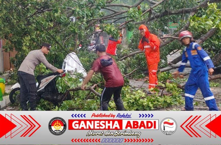 Polsek Banyuwangi Bersama Instansi Terkait Gerak Cepat Evakuasi Pohon Tumbang Pasca Hujan Lebat di Jl. Kepiting