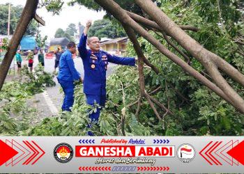 Aksi Cepat Sat Polairud Polresta Banyuwangi Evakuasi Pohon Tumbang di Jalur Nasional