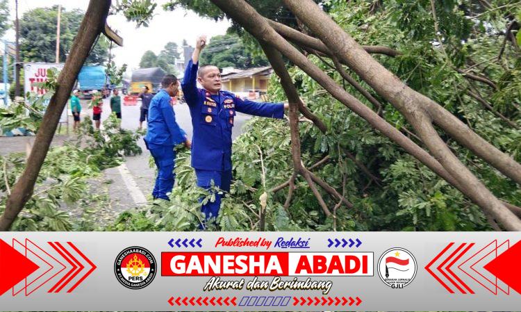 Aksi Cepat Sat Polairud Polresta Banyuwangi Evakuasi Pohon Tumbang di Jalur Nasional