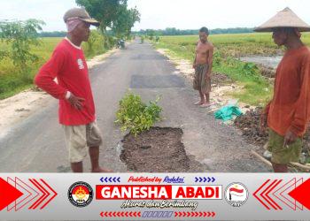 Baru Sebulan Diaspal, Jalan Aspal BKKD Desa Ngampal Bojonegoro Sudah Ambles