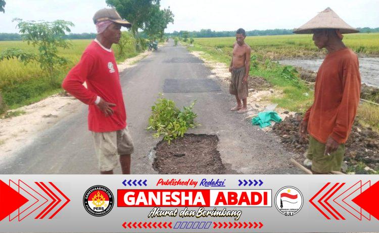 Baru Sebulan Diaspal, Jalan Aspal BKKD Desa Ngampal Bojonegoro Sudah Ambles