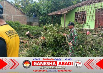 Angin Kencang Robohkan Pohon, Rumah Warga Kejayan Rusak — Respons Cepat Babinsa dan BPBD Cegah Dampak Lebih Besar