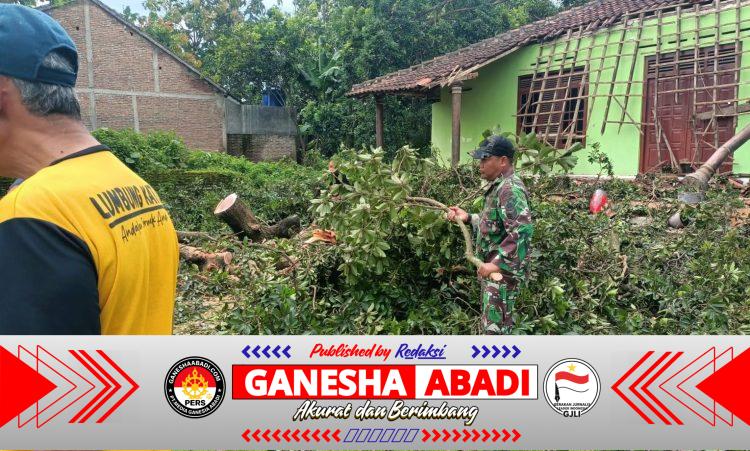 Angin Kencang Robohkan Pohon, Rumah Warga Kejayan Rusak — Respons Cepat Babinsa dan BPBD Cegah Dampak Lebih Besar