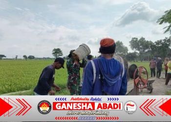 Babinsa Turut Bantu Pengecoran Jalan, Wujudkan Semangat Gotong Royong