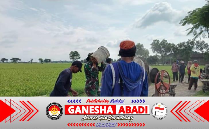 Babinsa Turut Bantu Pengecoran Jalan, Wujudkan Semangat Gotong Royong