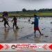 Babinsa Bantu Tanam Padi, Berharap Panen Kedepan Melimpah