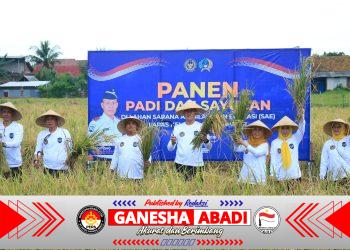 Panen Padi dan Sayuran di SAE Paswangi, Kakanwil Ditjenpas Jatim Puji Inovasi Pembinaan Lapas Banyuwangi