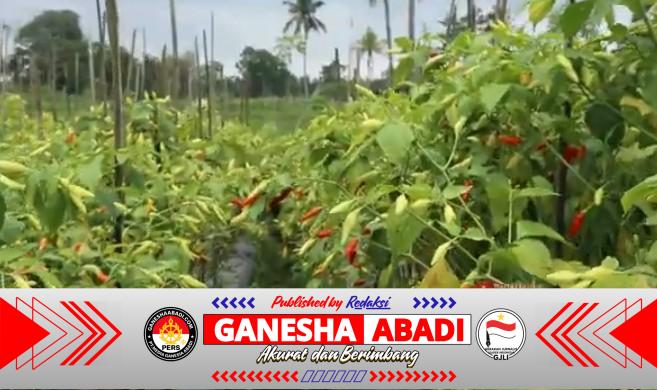 Pedagang Eceran Jadi Sorotan, Harga Pangan Maret 2026 Masih Tinggi di Berbagai Komoditas