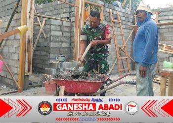 Wujud Nyata TNI Hadir di Tengah Rakyat, Babinsa ikut Gotongroyong Bangun rumah Warga