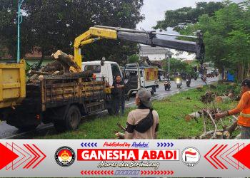 Diduga Abaikan Keselamatan Publik, UPT PJJ PU Bina Marga Banyuwangi Disorot: Aduan Pohon Rawan Roboh Tak Kunjung Ditindak