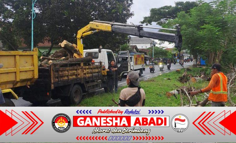 Diduga Abaikan Keselamatan Publik, UPT PJJ PU Bina Marga Banyuwangi Disorot: Aduan Pohon Rawan Roboh Tak Kunjung Ditindak
