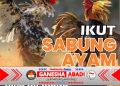 Dugaan Judi Sabung Ayam di Sumenep Menguat, Aparat Didesak Bertindak Tegas dan Transparan