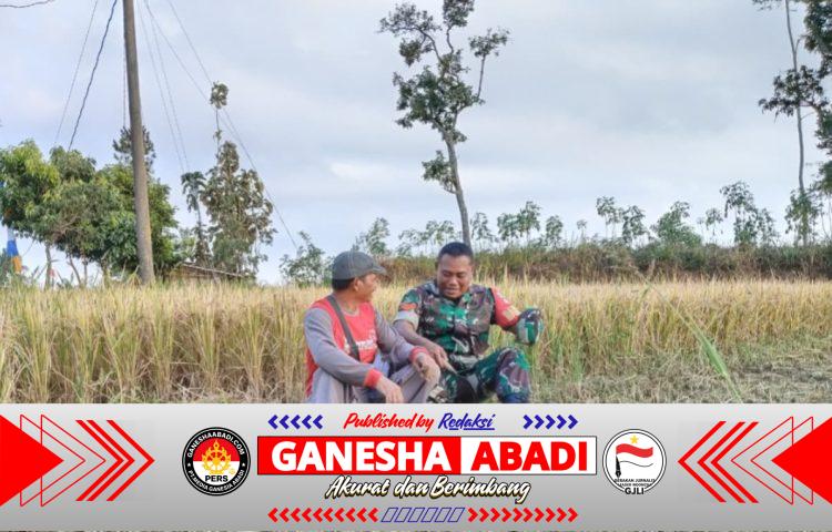 Babinsa Koramil Bulukerto Pererat Sinergi dengan Petani, Ketahanan Pangan Jadi Prioritas Bersama