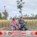 Babinsa Koramil Bulukerto Pererat Sinergi dengan Petani, Ketahanan Pangan Jadi Prioritas Bersama