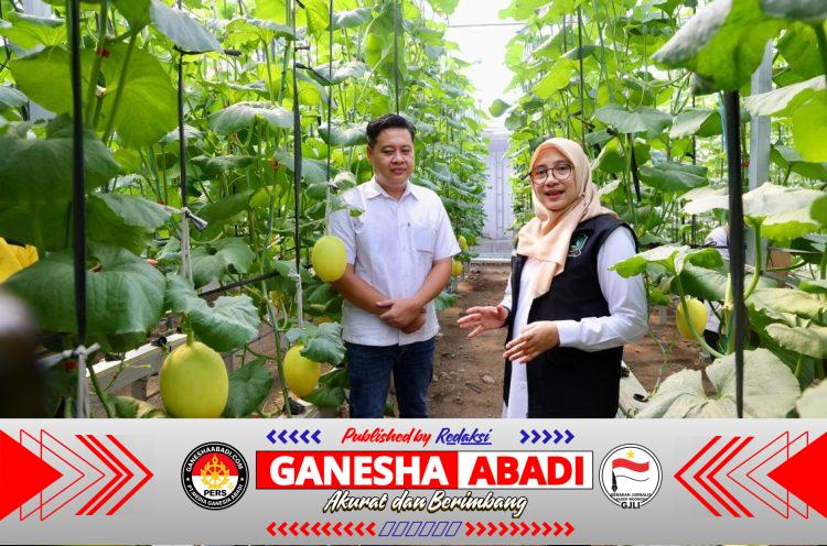Program Bupati Ipuk Regenerasi Petani Berhasil, Kini Banyak Anak Muda Banyuwangi Berkreasi di Pertanian