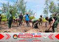 Bedengan Rampung, Lahan Program TMMD di Kampung Keakwa Siap Ditanami
