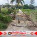Jembatan Penghubung Antar Kampung di Desa Jambu Sumenep Ambruk, Warga Kecam Dugaan Kelalaian Pengawasan Proyek KDMP