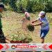 Dari Karya Bakti, Lahir Harapan Baru! Karya Bakti Prajurit Yonif TP 859/RBK dan Masyarakat Menjadi Berkah Untuk Sesama
