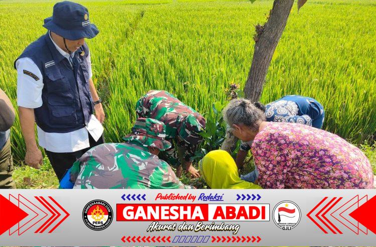 500 Pohon Buah Ditanam TMMD Kodim 0725/Sragen untuk Masa Depan Desa