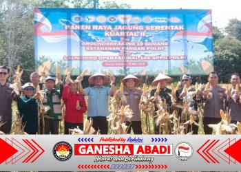 Kapolres Bersama Asisten II Melaksanakan Panen Raya Jagung Kuartal II.