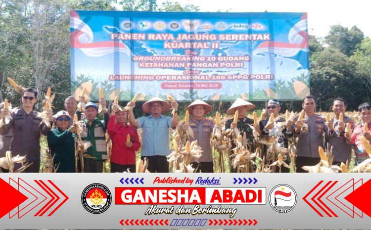 Kapolres Bersama Asisten II Melaksanakan Panen Raya Jagung Kuartal II.