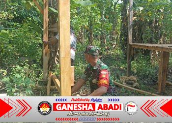 Semangat Gotong Royong, Babinsa Juwangi Bantu Warga Bangun Pondok Kebun