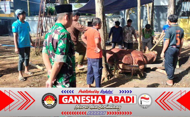 Sapi Kurban Presiden RI Seberat 970 Kg Disembelih di Ponpes Citra Suhada Jatisrono, Warga Antusias Hadiri Kegiatan