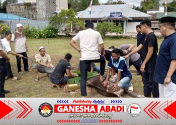 Rutan Kelas IIB Buntok Laksanakan Penyembelihan Hewan Kurban, Wujudkan Semangat Berbagi dan Pembinaan Kepribadian