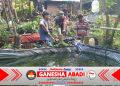 Babinsa Nogosari Dampingi Budidaya Lele Warga, Dorong Ketahanan Pangan dan Ekonomi Desa