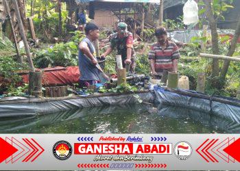 Babinsa Nogosari Dampingi Budidaya Lele Warga, Dorong Ketahanan Pangan dan Ekonomi Desa