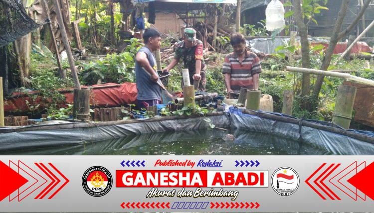 Babinsa Nogosari Dampingi Budidaya Lele Warga, Dorong Ketahanan Pangan dan Ekonomi Desa