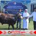 Idul Adha Penuh Makna di Lanud Sultan Hasanuddin, Ribuan Warga Ikuti Sholat Id dan Berbagi Kebahagiaan Melalui Kurban