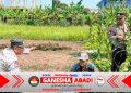 Polisi Cinta Petani Polsek Sedati Dukung Swasembada Pangan Nasional