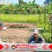Polisi Cinta Petani Polsek Sedati Dukung Swasembada Pangan Nasional