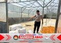 Polsek Muara Uya Bantu Serap Hasil Panen Jagung Petani, Dukung Swasembada Pangan 2026
