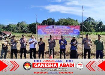 Polsek Jaro Bersama Kelompok Tani Fajar Pagi Tanam Jagung Dukung Swasembada Pangan 2026
