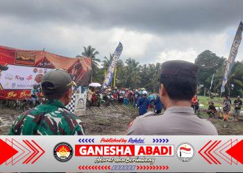 Deru Motor di Hamparan Areal Sawah: Koramil Songgon Kawal Lomba Balap Manol Gabah, Ajang Rakyat Tani Banyuwangi yang Makin Bergengsi