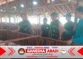 Curhat di Kandang Kambing, Cara Unik Babinsa Gemolong Cegah Penyakit Ternak