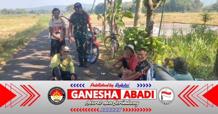 Babinsa Komsos dengan Petani, Pastikan Musim Tanam Ketiga Tetap Aman di Tengah Kemarau