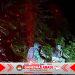 Menembus Malam Demi Masyarakat Supiori! Patroli Keamanan Yonif TP 859/RBK Beri Rasa Aman dan Nyaman Saat Istirahat Malam
