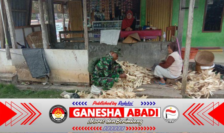 Babinsa Pracimantoro Perkuat Kedekatan dengan Warga, Dukung Ketahanan Pangan dari Tingkat Desa