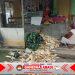 Babinsa Pracimantoro Perkuat Kedekatan dengan Warga, Dukung Ketahanan Pangan dari Tingkat Desa