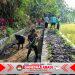 Babinsa Koramil 10/Sambi Bersama Warga Bersihkan Irigasi, Dukung Ketahanan Pangan di Desa Catur