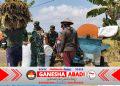 Tak Hanya Mengawal, Babinsa Sukodono Ikut Memanen Harapan Petani