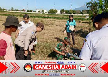 Lawan Hama Tikus, Babinsa Bersama Petani Kompak Gelar Gerdal Serentak