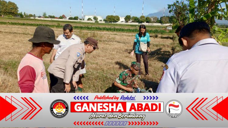 Lawan Hama Tikus, Babinsa Bersama Petani Kompak Gelar Gerdal Serentak