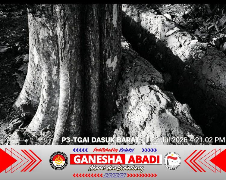 P3-TGAI Desa Dasuk Barat Disorot: Pondasi Irigasi Diduga Dipaksakan Menempel Pohon Jati, Pengawasan Program Dipertanyakan
